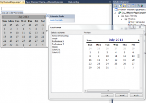 Themes in ASP.NET