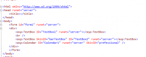 Themes in ASP.NET